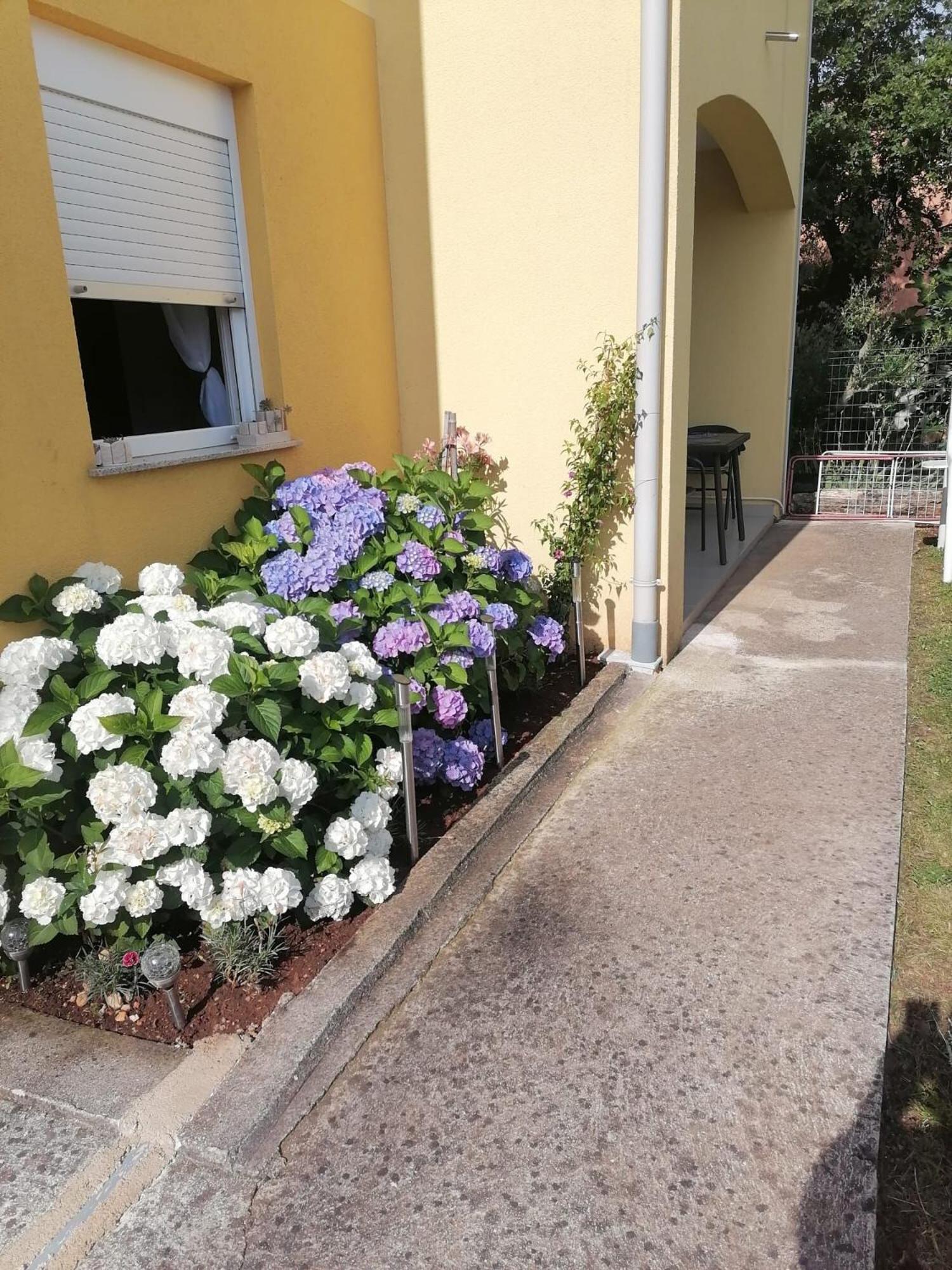 Apartments Rondine 1 카리가도르 외부 사진